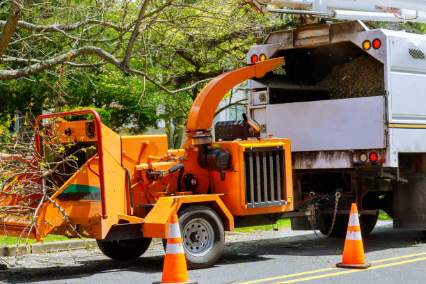 Why Choose Our Tree Removal Services in Mcelhattan, PA?